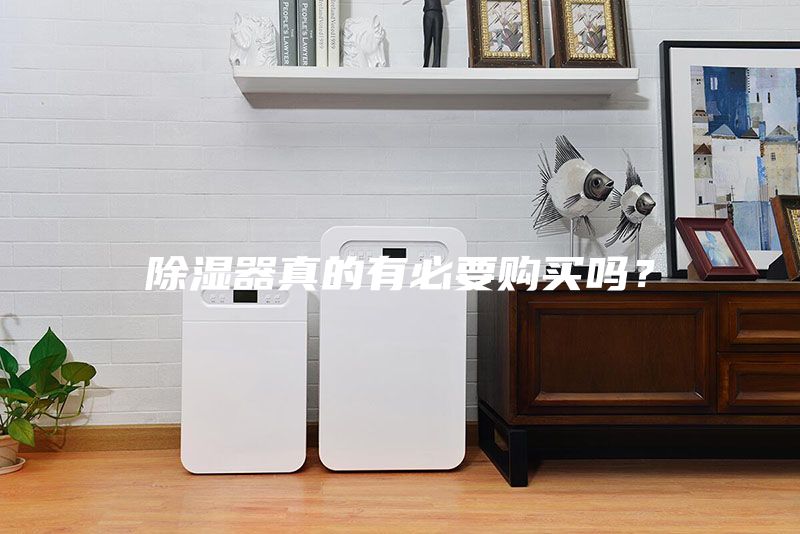 除湿器真的有必要购买吗?
