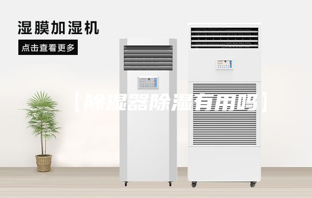 【除湿器除湿有用吗】