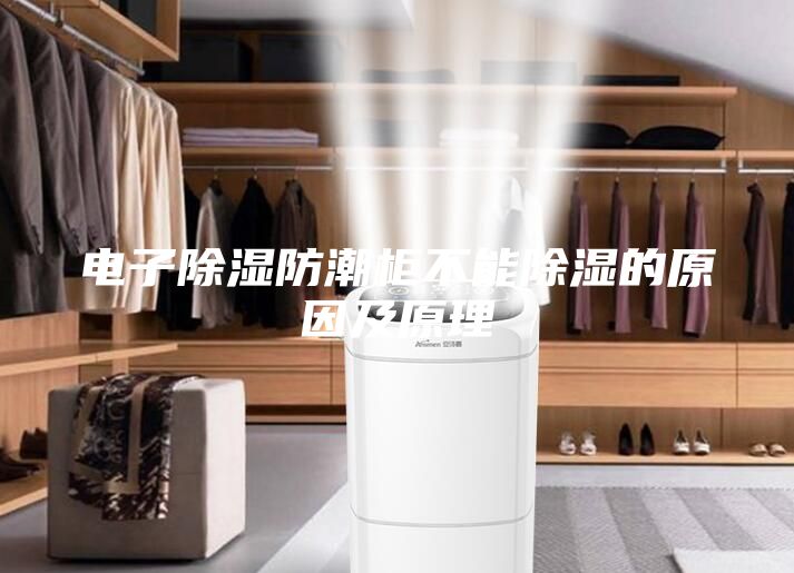 电子除湿防潮柜不能除湿的原因及原理