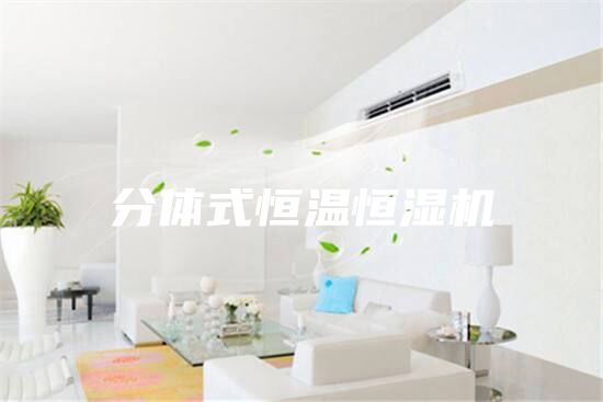 分体式恒温恒湿机