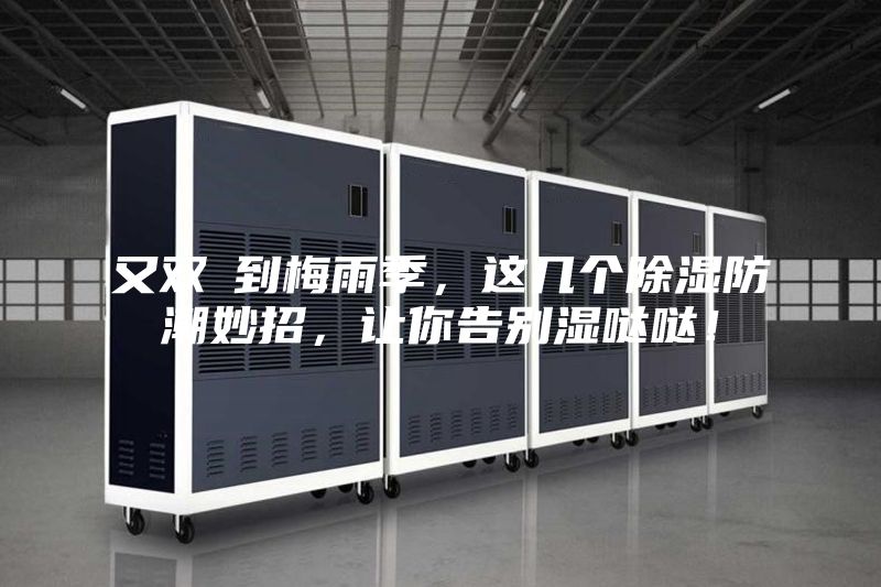 又双叒到梅雨季，这几个除湿防潮妙招，让你告别湿哒哒！