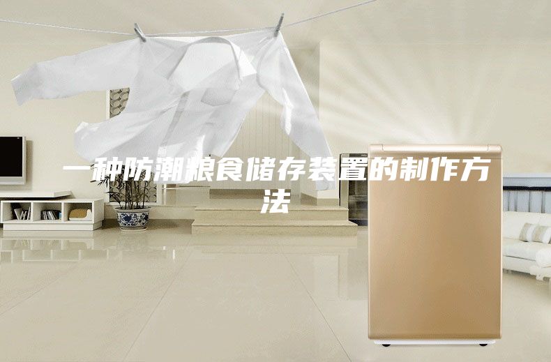 一种防潮粮食储存装置的制作方法