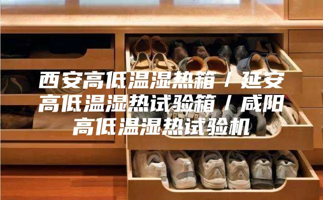 西安高低温湿热箱/延安高低温湿热试验箱/咸阳高低温湿热试验机