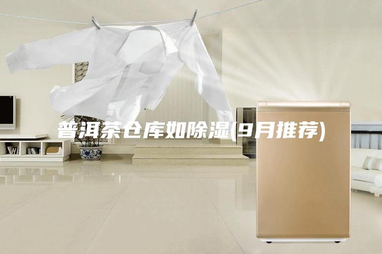 普洱茶仓库如除湿(9月推荐)
