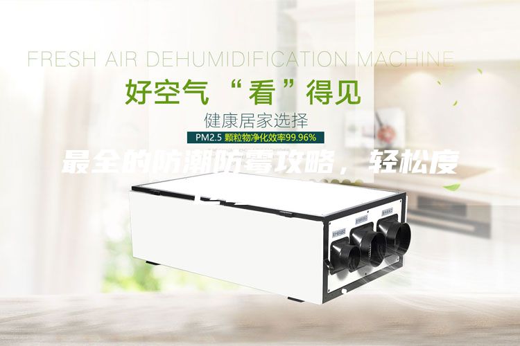 最全的防潮防霉攻略,轻松度过霉雨季!