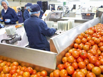 常见问题过量湿度对食品加工和仓储的影响