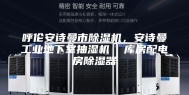 呼伦安诗曼市除湿机，安诗曼工业地下室抽湿机  库房配电房除湿器