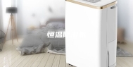 恒温除湿机