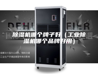 企业新闻除湿机哪个牌子好（工业除湿机哪个品牌好用）