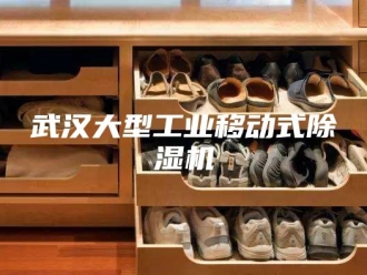 行业新闻武汉大型工业移动式除湿机