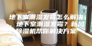地下室潮湿发霉怎么解决，地下室潮湿发霉？新风除湿机帮你解决方案