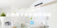 云南地下室柜机除湿机