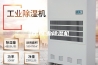 江门工业除湿机