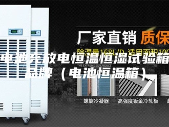 常见问题电池充放电恒温恒湿试验箱品牌（电池恒温箱）