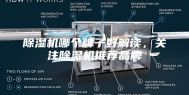 除湿机哪个牌子好解读，关注除湿机推荐品牌
