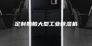 定制船舶大型工业除湿机
