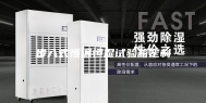 步入式恒温恒湿试验箱定制