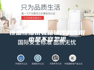 常见问题恒温恒湿试验箱辅件的作用也是不容忽视