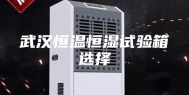 武汉恒温恒湿试验箱选择