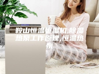 常见问题鞍山恒温恒湿机,除湿热泵工作原理,恒温热泵