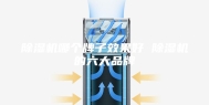 除湿机哪个牌子效果好 除湿机的六大品牌