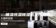 恒温恒湿除湿机工作原理