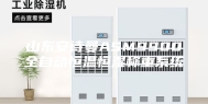 山东安诗曼ASM9900全自动恒温恒湿称重系统