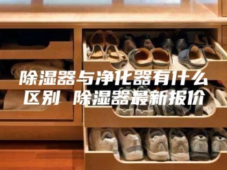 知识百科除湿器与净化器有什么区别 除湿器最新报价