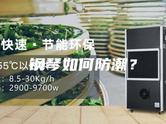 知识百科钢琴如何防潮？