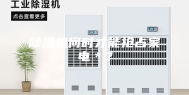 除湿机何时才能抢占家电＊？
