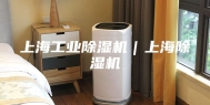 上海工业除湿机｜上海除湿机