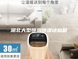 常见问题湖北大型恒温恒湿试验箱