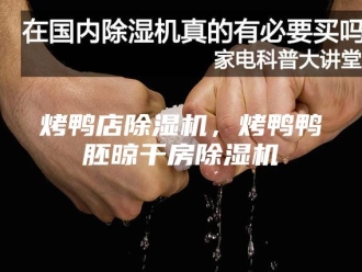 行业新闻烤鸭店除湿机，烤鸭鸭胚晾干房除湿机