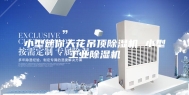 小型迷你天花吊顶除湿机 小型工业除湿机