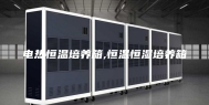 电热恒温培养箱,恒温恒湿培养箱