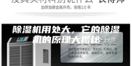 除湿机用处大，它的除湿机的原理大揭秘