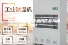 恒温恒湿培养箱适用范围有哪些？