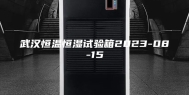 武汉恒温恒湿试验箱2023-08-15