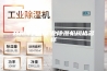 郑州车间用工业除湿机规格多样