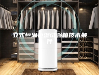 常见问题立式恒温恒湿试验箱技术条件