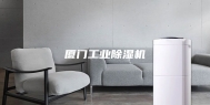 厦门工业除湿机