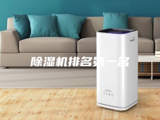 新闻资讯除湿机排名第一名