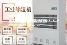 太仓哪里有卖除湿机的？？？急……