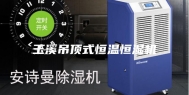 玉溪吊顶式恒温恒湿机