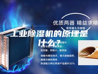 行业新闻工业除湿机的原理是什么？