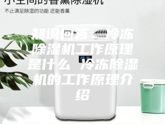 行业新闻知识问答：冷冻除湿机工作原理是什么 冷冻除湿机的工作原理介绍