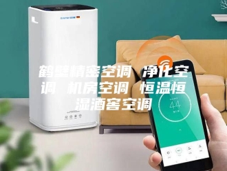 常见问题鹤壁精密空调 净化空调 机房空调 恒温恒湿酒窖空调