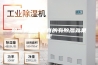 除湿机是不是真的有除湿效果呢