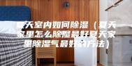 夏天室内如何除湿（夏天家里怎么除湿最好夏天家里除湿气最好的方法）