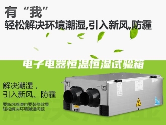常见问题电子电器恒温恒湿试验箱